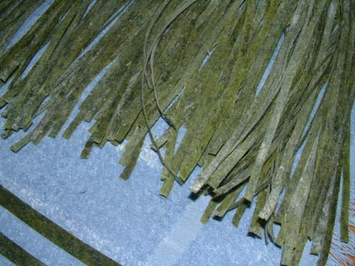 Drying out fresh spinach pasta noodles